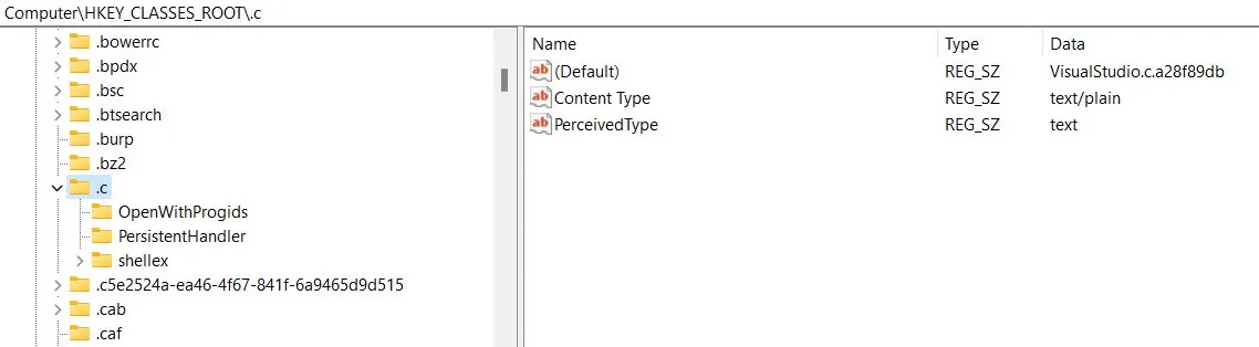 HKCR subkey named .c